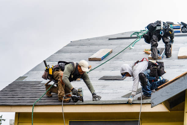 Professional Gutter Installation technician working in Saint Joseph, TN